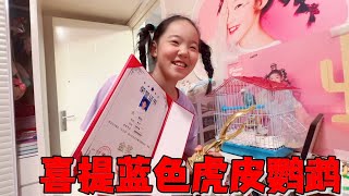 艾米口才比赛得了金奖，妈妈答应买乌龟，结果到花鸟市场改要鹦鹉