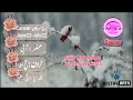 22 january 2025 daily horoscope in urdu 2025 aaj ka din kaisa rehega 2025 boltay hath