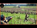 How Do Hunters And American Farmers Deal With Millions Of Wild Boars, Monkey, Baboon By Guns Part 2