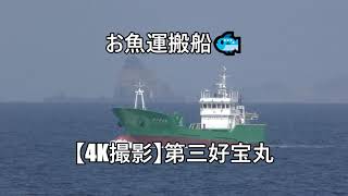 お魚運搬船【4K撮影】第三好宝丸