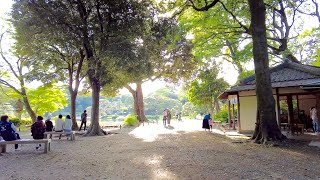 六義園を散歩、東京、日本【4K】