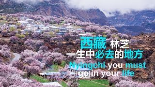 西藏林芝，中国最美的春天，2020年一定要和最爱的人去一次！|Must visit Nyingchi once in life time