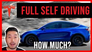 Buying a Used Tesla? How much is FSD WORTH?  | VALUATION IN USED MARKET