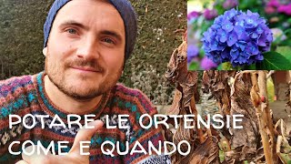 POTARE LE ORTENSIE - COME E QUANDO