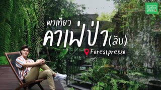 คาเฟ่ป่า(ลับ) ใจกลางเมือง! | วันเดียวเที่ยวได้