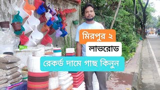 🌵রেকর্ড করা দামে মিরপুর ২ লাভ রোড থেকে গাছ কিনুন। 🪴Tree Price in Mirpur Love Road🌳