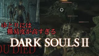 【Darksoul2】　２体まではいい　３体同時はやっちゃいかん！