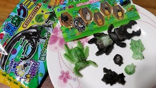 더빙걸 가루쿡 곤충구미도감(Insect gummy shaped candy kit/昆虫グミ図鑑/포핀쿠킨/Popin Cookin)