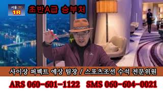 2월 22일 토요일 서울 제주 사이상 다이너마이트