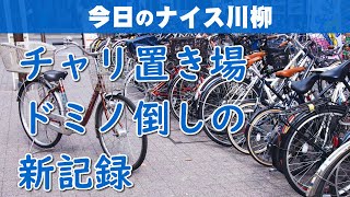 【投稿川柳】2024年1月12日(金)の投稿よりピックアップ