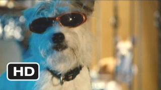 Marmaduke #2 Movie CLIP - The Duke's Rager (2010) HD