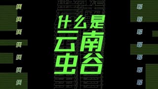 《什么是云南虫谷》MV上线，铁三角带你入谷研究！|《云南虫谷 The Worm Valley》