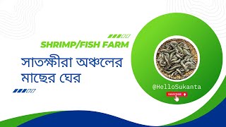 Shrimp/Fish Farm in Satkhira Bangladesh-সাতক্ষীরায় মাছের ঘের