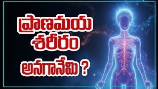 What is Etheric Body in Telugu | ప్రాణమయ శరీరం అనగానేమి | Spiritual Reality in Telugu