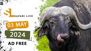 SafariLIVE Sunrise Safari - 03 May 2024 - AD FREE