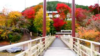 御岳渓谷の紅葉