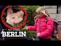 Miese Erpressung: Warum weint die kleine Emma? | Auf Streife - Berlin | SAT.1 TV