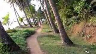 A stroll through rural Kerala near Kozhikode !