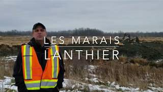 Les marais Lanthier