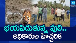 బాబోయ్ పులి.. Tiger Hulchul in Srikakulam District | @SakshiTV