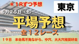 2022 6月25日　平場　競馬予想　本命馬を軸に3連続的中推奨！！　夏競馬に向けて重大告知発表！！