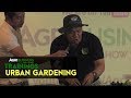 Urban Gardening for Beginners: Practical Tips to Earn from your Backyard