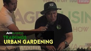 Urban Gardening for Beginners: Practical Tips to Earn from your Backyard