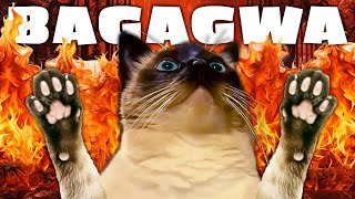 Merv the Cat CAN'T STOP Talking to BAGAGWA 😈😈