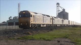 7902V containers from Mildura at Avoca Friday 11 October 2024