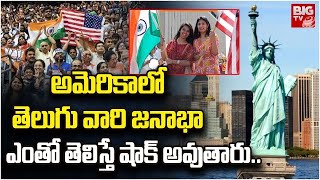 అమెరికాలో రికార్డు స్థాయిలో తెలుగోళ్లు | Shocking Number Of Telugu People In America | BIG TV