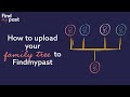 How to Upload Your Family Tree to Findmypast | Findmypast