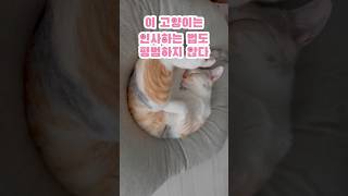 아무생각없이 보다가 기절할뻔..;;#shorts