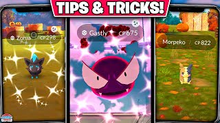 Top Tips for Pokémon GO Halloween Part 1: 2x Catch Candy, Shiny Zorua \u0026 More!