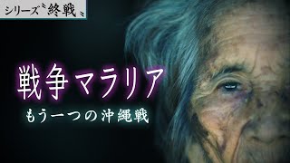 もう一つの沖縄戦～戦争マラリア【シリーズ終戦特集⑥】