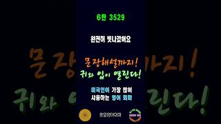 3529번 #미국인이가장많이쓰는영어 #쉬운영어회화 #생활영어회화 #총알영어회화 #여행영어회화 #백번듣고백번말하기 #영어회화문장해설 #영어회화문법해설