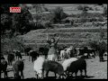 KAANHA CHHERO BANSURI -LATA -PREM DHAWAN -HANSRAJ BEHL ( SAWAN 1959)