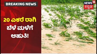 Tumakuru Rains | ತುಮಕೂರು ಜಿಲ್ಲೆಯಾದ್ಯಂತ ವರುಣನ ಆರ್ಭಟ; ನಿರಲ್ಲಲಿ ತೇಲಿ ಹಿಗ್ತಿದೆ ಎಕರೆಗಟ್ಟಲೆ ರಾಗಿ ಬೆಳೆ!