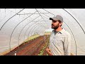 the irrigation system at ten mothers farm