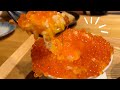 大阪難波｜野乃鳥 難波堂店｜雞肉料理專賣店｜超人氣串燒店｜居酒屋