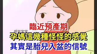 臨近預產期，孕媽這幾種怪怪的感覺，其實是胎兒入盆的信號