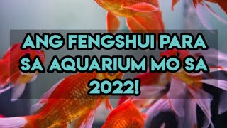 ANG PWESTO AT ANG DAPAT MONG GAWIN SA AQUARIUM NGAYONG 2022!