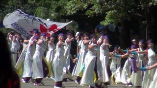 第４回よさこい光が丘 ３日目 うらら 流し