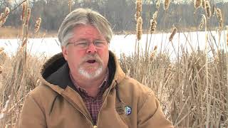 Waterfowl Seasons Q & A