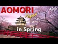 The Most Beautiful Aomori, Japan in Spring