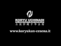 koryukan cesena koryukan cesena self defence tip 01