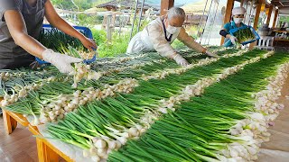 Lovely grandma's various traditional Korean Jeon(Korean pancake) / Korean street food