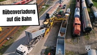 Vlog - Rübenverladung auf den Zug // So gelangt der Zucker vom Feld in die Fabrik