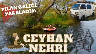 CEYHAN NEHRİ BALIK AVI VE DOĞA GÜZELLİKLERİ (Yılan balığı yakaladım!)