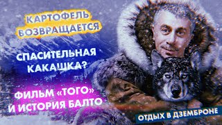 Картофель возвращается / Спасительная какашка? / Фильм «Того» / Отдых в Дземброне -(комаровости)