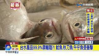 台水產品99.9%禁輸陸?! 魷魚.秋刀魚.午仔魚受衝擊│中視新聞 20221209